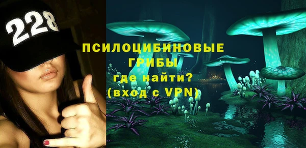 2c-b Белокуриха