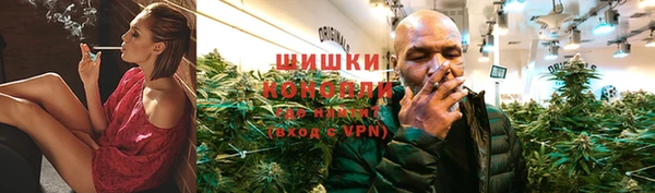 молекула духа Белоозёрский