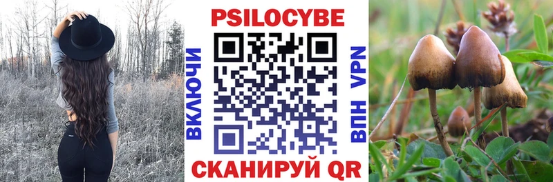 Псилоцибиновые грибы мицелий Валуйки