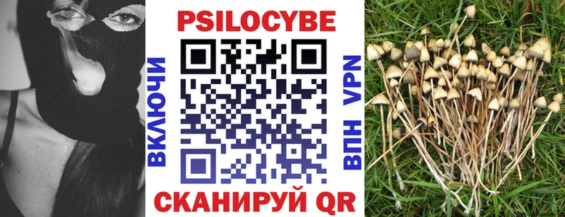 купить закладку  Валуйки  Псилоцибиновые грибы MAGIC MUSHROOMS 